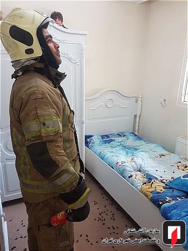 حمله زنبورها به ساکنان ساختمان مسکونی در عبدل آباد